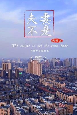 决战燕子门电影