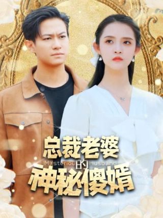 霹雳神偷游戏下载安装