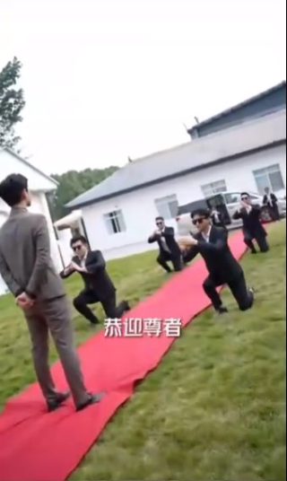 青蛇情缘再起在线观看电视剧全集下载