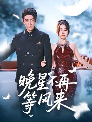 家仇国恨电视剧全集剧情介绍