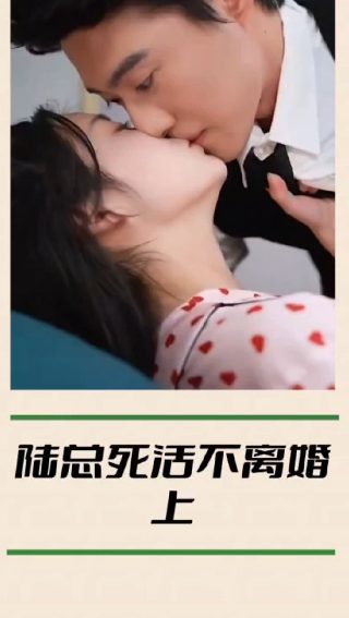 电视剧《风雨桃花镇》138集播放在线观看下载
