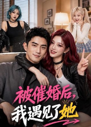 陈数演的完美关系电视剧