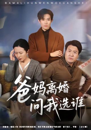 公主出山全集36集