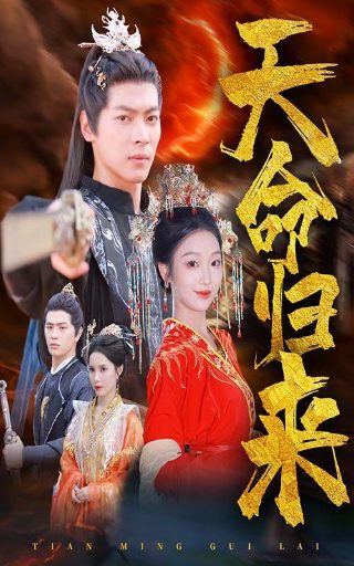 假小子 电视剧在线观看