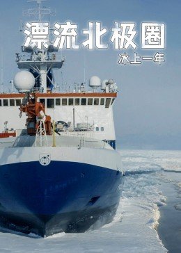 野火春风斗古城电视剧在线观看