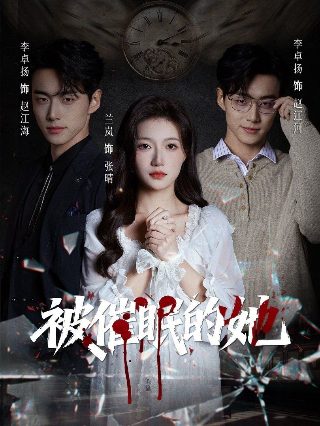 《凤凰台上》大结局介绍视频下载安装
