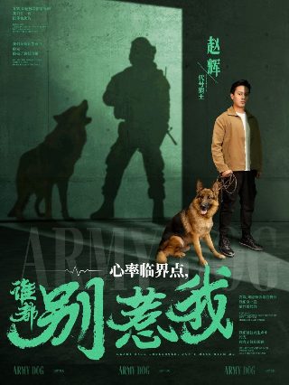 网上怪谈电影2000