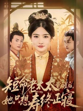 《宝葫芦的秘密》续写故事300字怎么写的