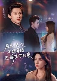 一不小心爱上你百度云播放全集免费观看