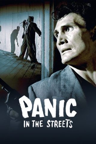 前妻电影演员表介绍大全