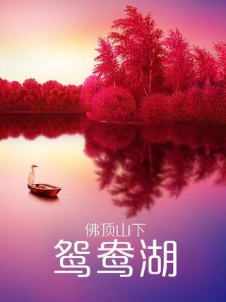 锻刀电视剧免费播放完整版在线观看高清