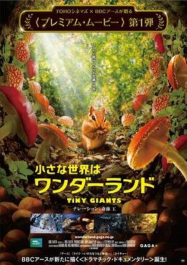 钟馗捉鬼传