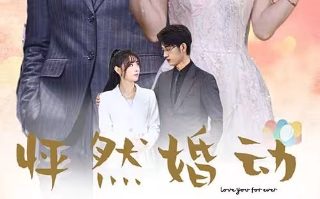 铁血战狼第42集免费观看全集视频