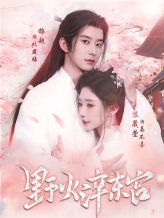 妻子的情人 百度云资源