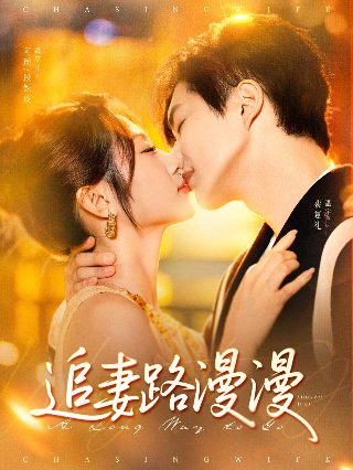 刑警之海外行动24集免费观看