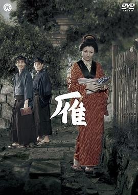 知青回家电视剧全集在线观看