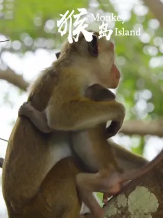 歌曲《春暖花开》原唱视频完整版播放下载