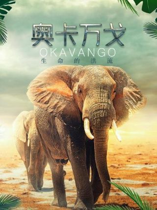 龙三和他的七人党谁赢了