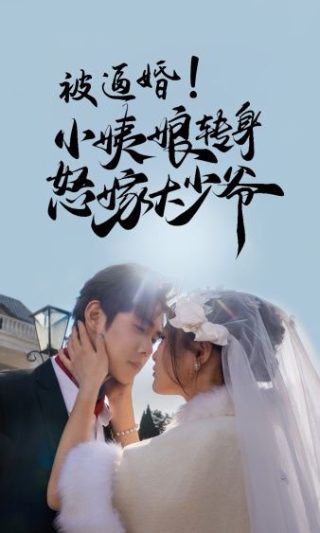 第一声枪响42集免费观看视频