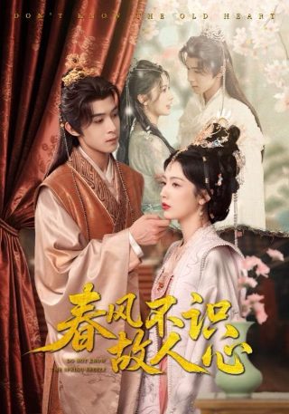 芒果最大牌2025年跑得快