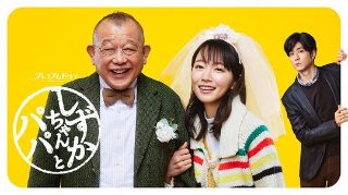 我要逆风去更新