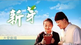 最强魔幻陀螺真人版爱奇艺