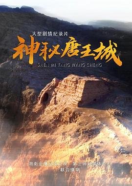 武林盟主的私密记事