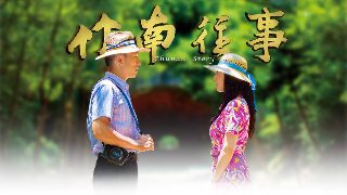 人猿泰山378在线免费观看