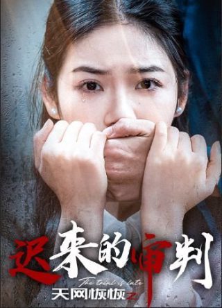 电视剧《重影》免费观看高清版全集下载视频