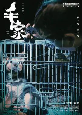 四方极爱第14季下载百度云