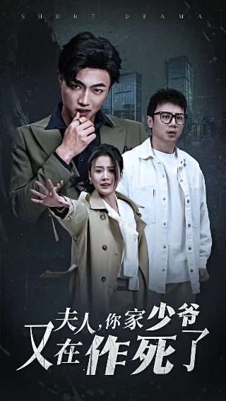 极品女士 第一季电视剧