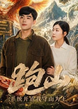 《卧底》傅程鹏剧情介绍大全免费观看下载