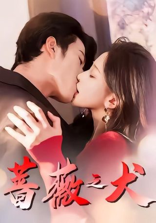 北京爱情故事第九集剧情介绍大全