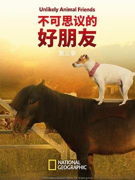 我的世界高清版