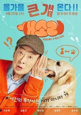 恋爱先生第三十五集免费观看视频