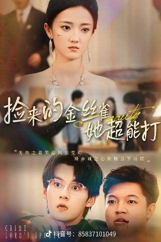 欢迎光临电视剧22集免费观看全集下载