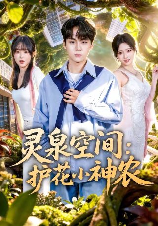双喜临门2019电视剧在线观看免费
