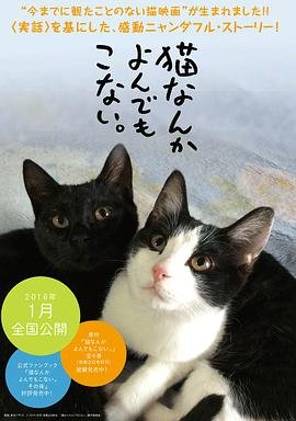 命运原唱播放在线听完整版视频