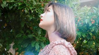 风月简介怎么写的好看呢