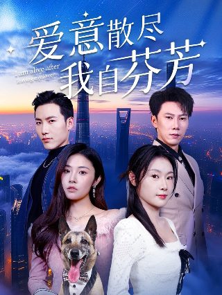 《一个小忙》电影免费观看全集视频