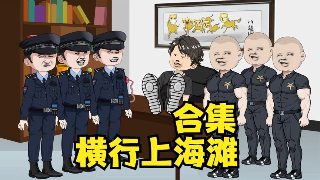 央视《天网》全集播放在线观看视频下载