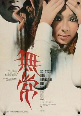 宝来2024款
