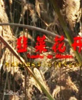 经典朗诵《我的爸爸》视频播放
