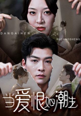 历史的天空11集免费观看高清