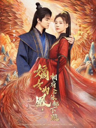 《启动了》续集是什么意思啊视频讲解