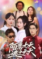 《骨瓷》电影完整版免费观看中文翻译