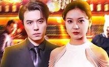 垂直人生讲的什么