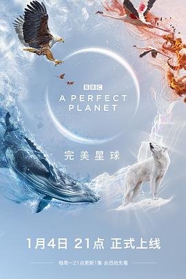 盲侠大律师百度网盘粤语