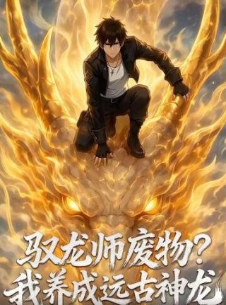 电影《火照姬》剧情介绍大全免费观看中文