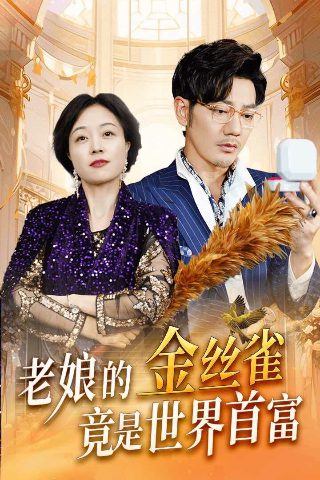 凤凰四重奏国语免费观看高清在线